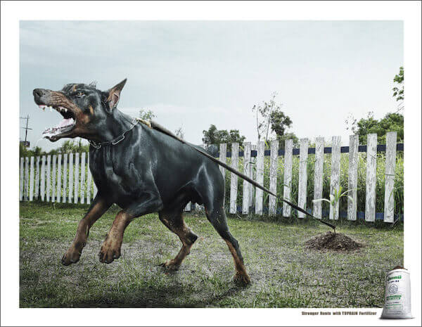 DOG and PUPPY COMMERCIALS, PROMOTIONS & ADVERTISEMENT FUNNY VIDEOS, PICTURES and IMAGES