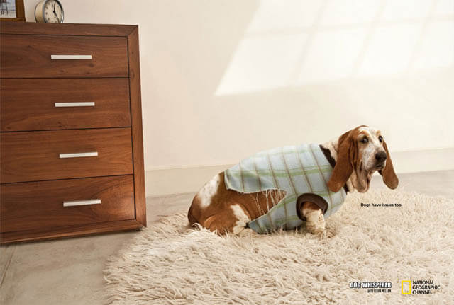 DOG and PUPPY COMMERCIALS, PROMOTIONS & ADVERTISEMENT FUNNY VIDEOS, PICTURES and IMAGES