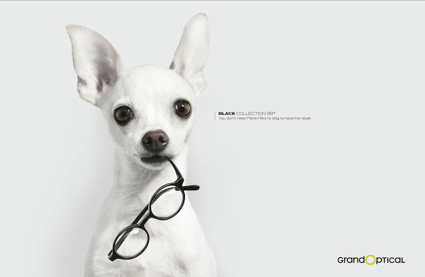 DOG and PUPPY COMMERCIALS, PROMOTIONS & ADVERTISEMENT FUNNY VIDEOS, PICTURES and IMAGES