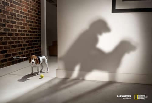 DOG and PUPPY COMMERCIALS, PROMOTIONS & ADVERTISEMENT FUNNY VIDEOS, PICTURES and IMAGES