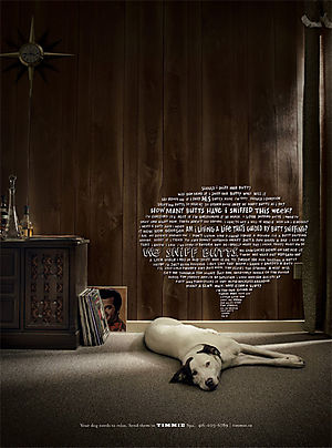 DOG and PUPPY COMMERCIALS, PROMOTIONS & ADVERTISEMENT FUNNY VIDEOS, PICTURES and IMAGES