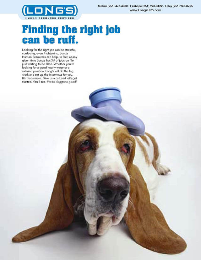 DOG and PUPPY COMMERCIALS, PROMOTIONS & ADVERTISEMENT FUNNY VIDEOS, PICTURES and IMAGES