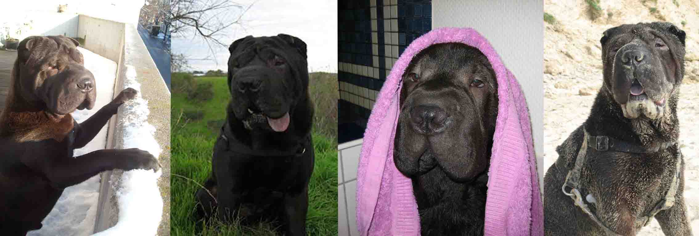 BARRYMORE's OFFICIAL PAGE