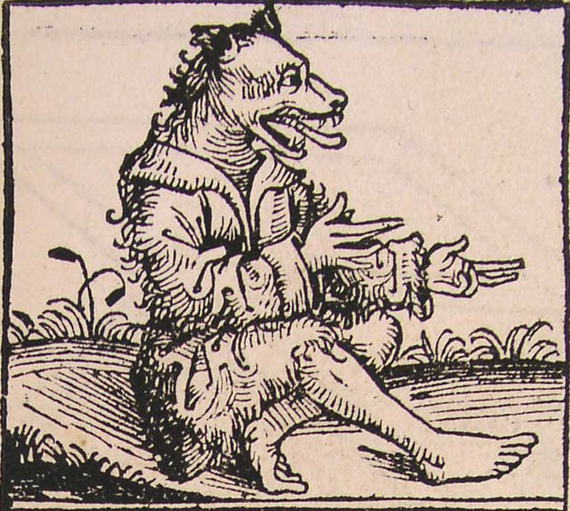 DOG CYNOCEPHALY