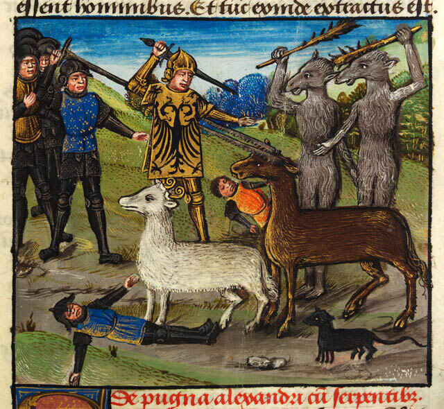 DOG CYNOCEPHALY