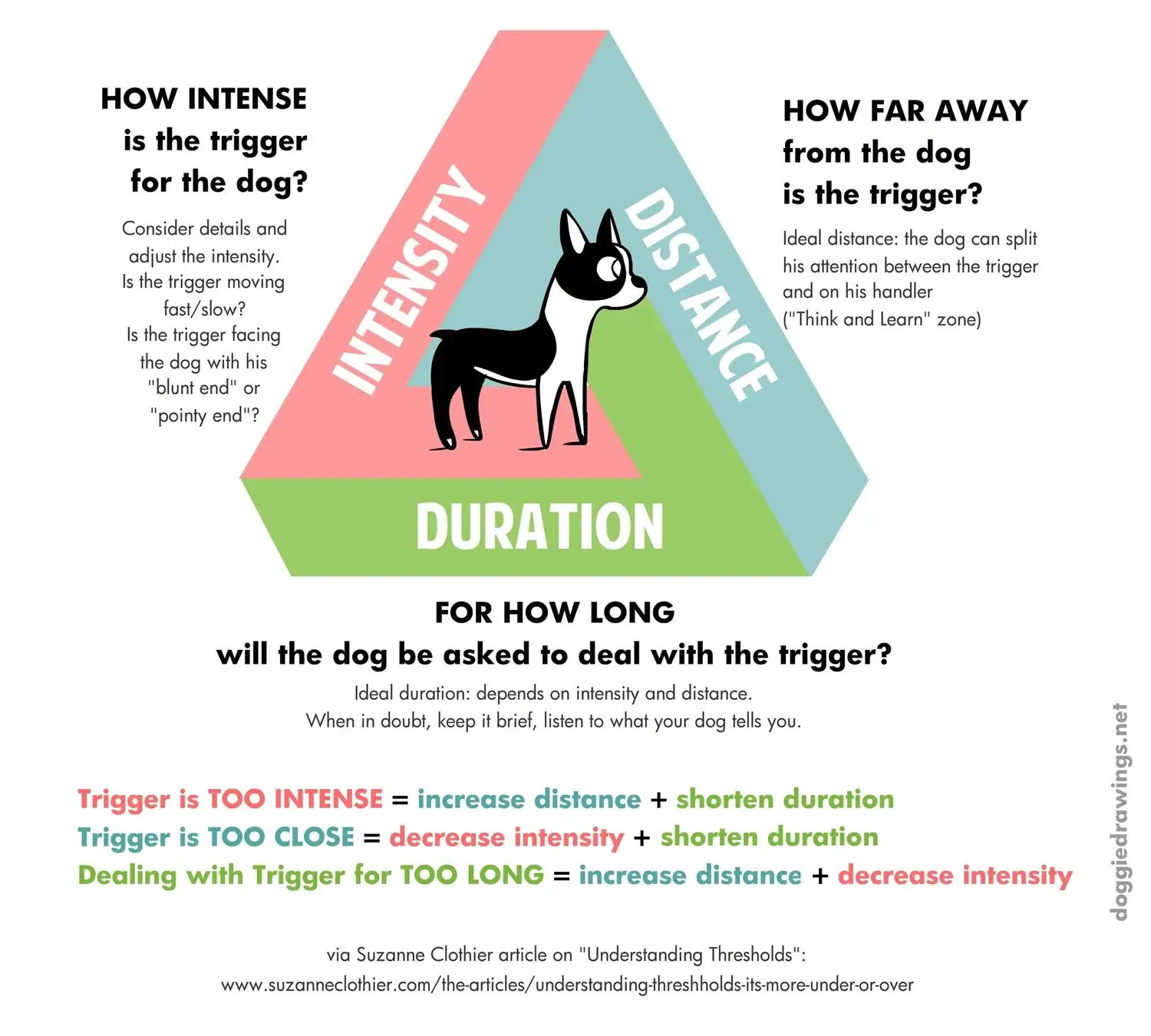 CAUSES OF DOG REACTIVITY - REACTIVE HYPERACTIVE DOGS