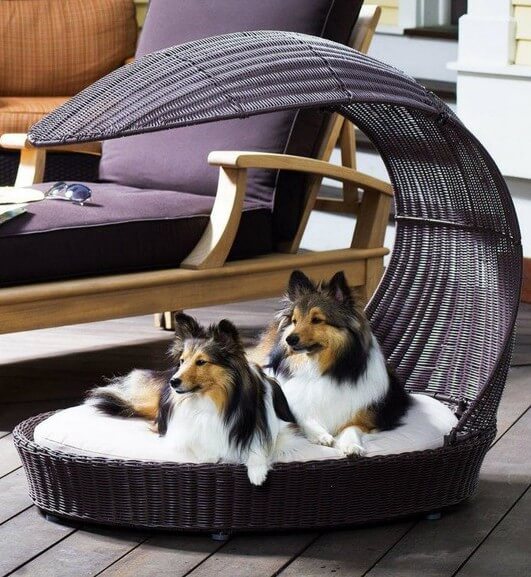 DOG AND PUPPY BEDS