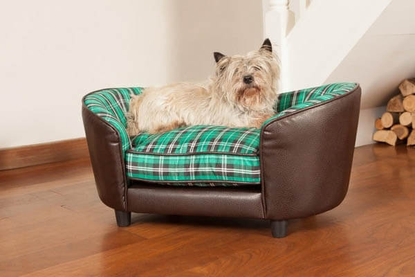 BUY ONLINE BEST, COMPHATIBLE, CUSTOM, MODERN LUXURY DOG & PUPPY BEDS and COUCHES, FOR LARGE & SMALL DOG BREEDS