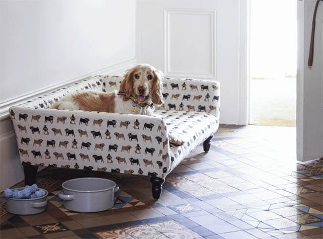 BEST ORTHOPEDIC DOG BEDS, COUCHES, SOFAS