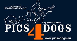 Dog Logos, Puppy Logos