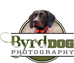 Dog Logos, Puppy Logos