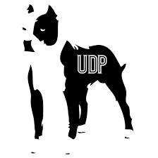 Dog Logos, Puppy Logos