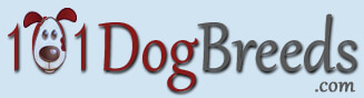 WWW.101DOGBREEDS.COM