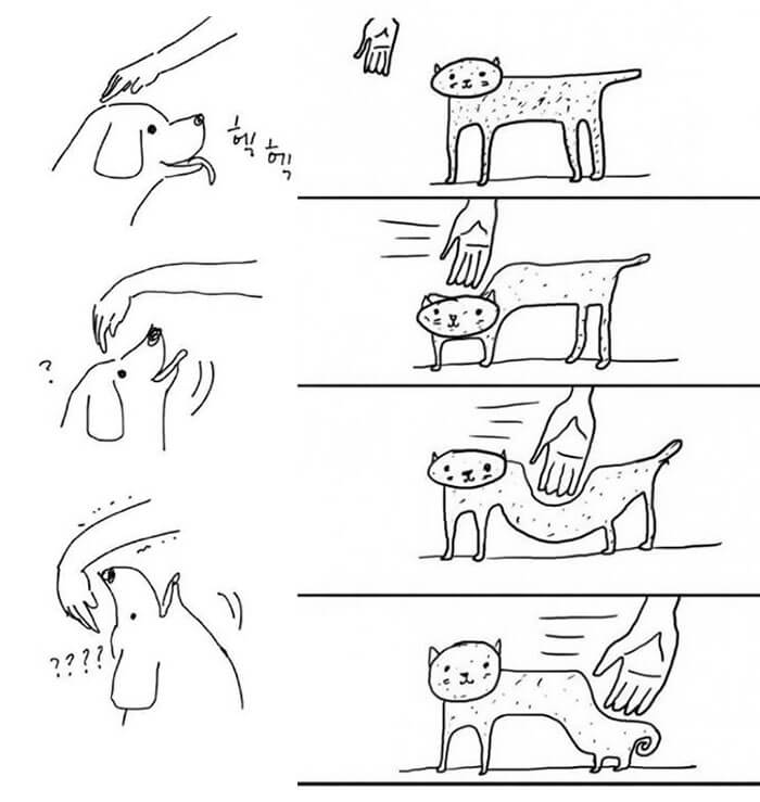 Dog and Cat, Dog vs Cat