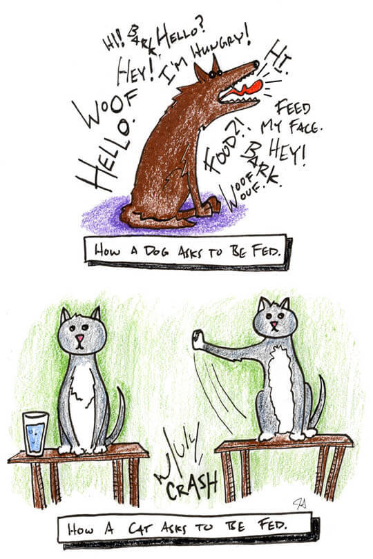 Dog and Cat, Dog vs Cat