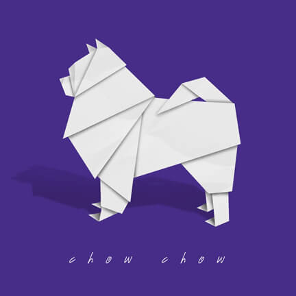 Dog and Puppy Origami Logo Design
