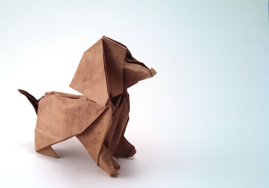 Joe Cocker by Patricio Kunz Tomic (Press to Buy online this Origami Dog Template)