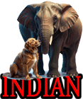 INDIAN DOG BREEDS