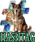 DOG HASHTAGS