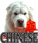 CHINESE DOG BREEDS