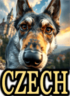 CZECH DOG BREEDS