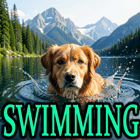 SWIMMING DOG BREEDS