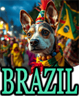BRAZILIAN DOG BREEDS