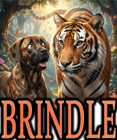 BRINDLE DOG BREEDS 