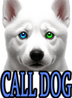 CALL YOUR DOG !