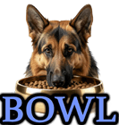 DOG BOWL