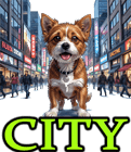 DOG-FRIENDLY CITIES