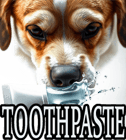 DOG TOOTHPASTE