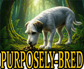 PURPOSELY-BRED DOGS