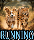 RUNNING DOG BREEDS