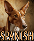 SPANISH DOG BREEDS