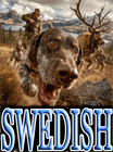 SWEDISH DOG BREEDS