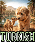 TURKISH DOG BREEDS