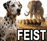 FEIST DOG BREEDS