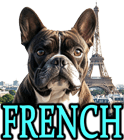 FRENCH DOG BREEDS