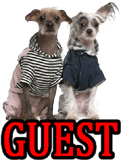 GUEST POSTS