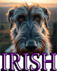 IRISH DOG BREEDS