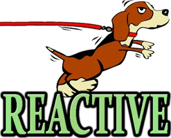 REACTIVE DOGS GUIDE