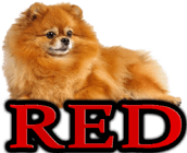 RED DOG BREEDS