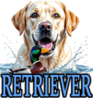 RETRIEVER DOG BREEDS
