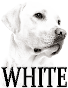 WHITE DOG BREEDS