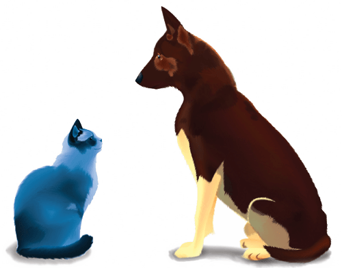 dog vs cat