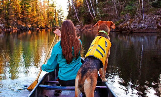 TRAINING YOUR DOG FOR HIKING & BACKPACKING